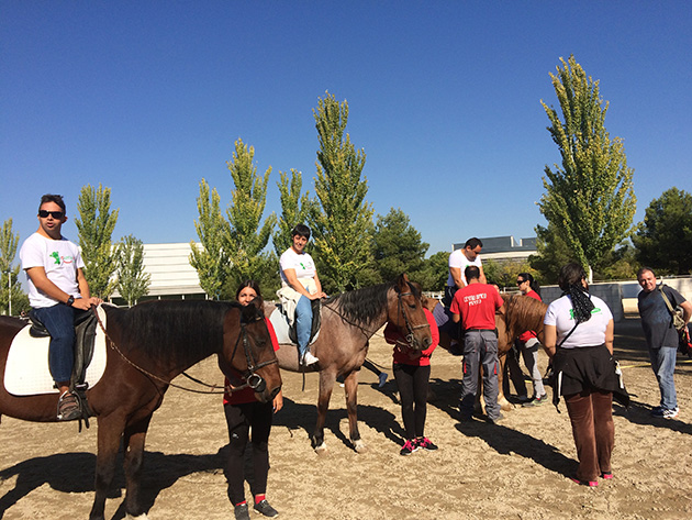 Día Solidario Cetelem 2016