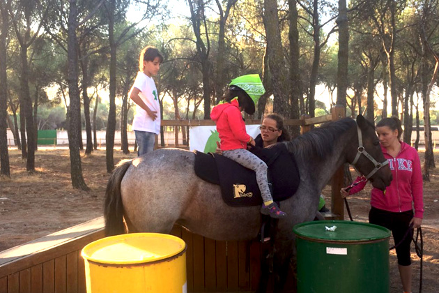 Día Solidario Cetelem 2016